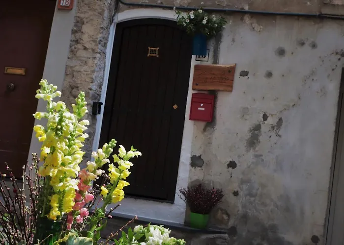 La Casa degli Alberi